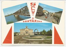 Rovigo saluti contarina usato  Italia