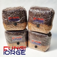 1.5kg mushroom grow for sale  BRAINTREE