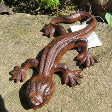 Salamander gecko echse gebraucht kaufen  Wuppertal