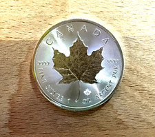 2021 canadian maple for sale  Charlotte