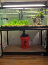 Fish tank recently for sale  Brooklyn