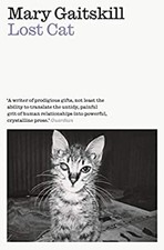 Lost cat paperback for sale  DUNFERMLINE