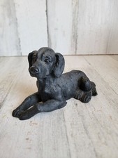 Black dog lab for sale  Racine