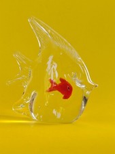 Angel fish tropical for sale  MARAZION