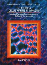 Struttura delle piante usato  Roma