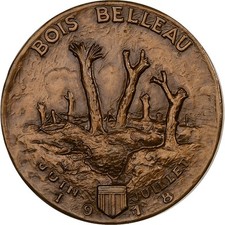 Médaille porte avions d'occasion  Lille-