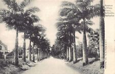Barbados belleville avenue d'occasion  France