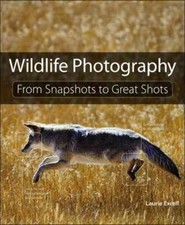 Wildlife photography snapshots for sale  North Smithfield