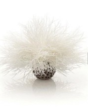 Biorb plant white d'occasion  Expédié en Belgium
