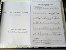 Never walk alone for sale  PETERBOROUGH