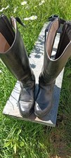 Mountain horse long for sale  TRURO