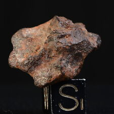 Météorite nwa 15738 d'occasion  Cavaillon