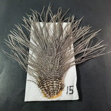 Grizzly saddle hackle for sale  Boiling Springs