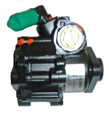 Lizarte hydraulikpumpe lenkung gebraucht kaufen  Oberlungwitz