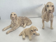 Vintage ceramic labrador for sale  Willis