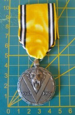 Medaglia commemorativa della usato  Voghera