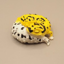 Bandit leopard gecko d'occasion  Expédié en Belgium