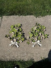Vintage large pair for sale  Grayslake