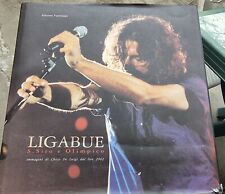 Ligabue siro olimpico usato  Minerbio
