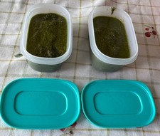 Contenitori pinguini freezer usato  Ricadi