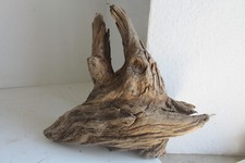 Schwemmholz treibholz skulptur gebraucht kaufen  Fronreute