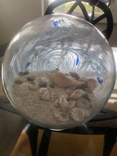 Hqt glass shell for sale  Crystal River