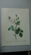Gravure ancienne redoute d'occasion  Moëlan-sur-Mer