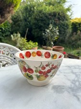 Emma bridgewater tomato for sale  ASHFORD