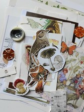 Nature botanical mixed for sale  BIRKENHEAD