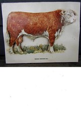 Nice early large for sale  Russia