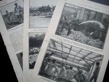 1901 rowing henley for sale  VERWOOD