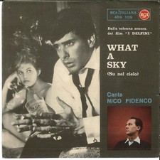 Nico fidenco what usato Nico fidenco what usato  Italia