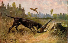 Jagd jagdhund fasan gebraucht kaufen  Wettenberg