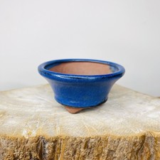 Round blue mame for sale  Winder