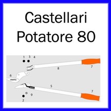 Ricambi troncarami castellari usato  Cesena