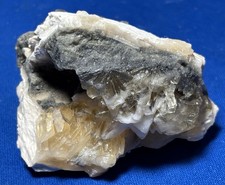 Fossil calcite clam for sale  Melbourne
