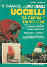 Gisondi grande libro usato  Settimo Milanese