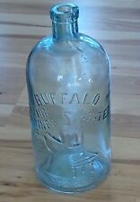 Antique bottle embossed for sale  Livingston