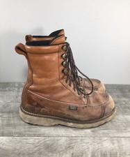 Irish setter 894 for sale  Minneapolis