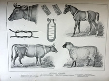 Estampa veterinária antiga C1910 – Equipamento para animais de fazenda – Gravura agrícola, usado comprar usado  Enviando para Brazil
