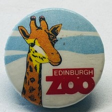 Giraffe edinburgh zoo for sale  BILLINGHAM
