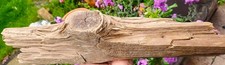 Schön geformtes treibholz gebraucht kaufen  Nußdorf