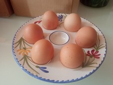 Saint clement eggbox d'occasion  Expédié en Belgium