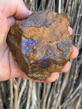 Usado, Color Starter. Rough Boulder Opal Rock. 421 gramas comprar usado  Enviando para Brazil