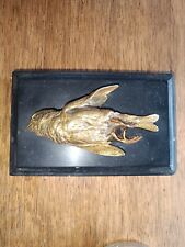 Moineau bronze paul d'occasion  Brignoles
