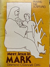 Meet Jesus in Mark (Praying the scriptures) 1981 pb comprar usado  Enviando para Brazil