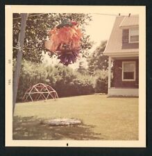 Creepy piñata hanging for sale  Brooklyn