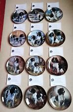 Springer spaniel display for sale  PICKERING