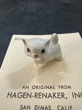 kitten grey for sale kitten grey for sale Wytheville
