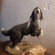 North light bearded for sale  DOVER